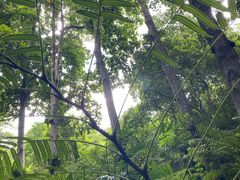 -深圳仙湖植物园
