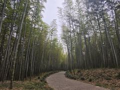 -采石矶景区