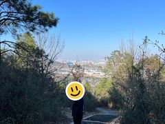 -灵岩山风景区