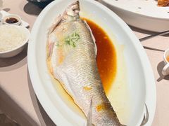 -尚一汤 广东炖汤(金桥国际店)