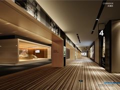 -博纳国际影城IMAX(中央大道店)