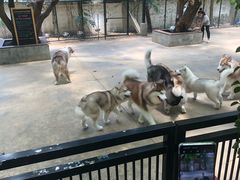 -TrueLove @ Neverland (Husky Cafe)