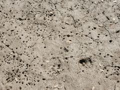 -东寨港红树林旅游区