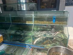 -旺山·浪头人家