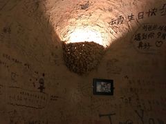 -大灰狼(中心书城店)