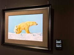 -罗红摄影艺术馆