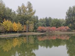 -仁和公园(顺义区)