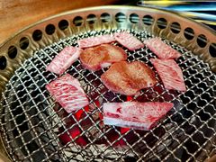 -300杯·和牛烧肉清酒专门店(廊里店)