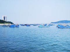 -海源公园