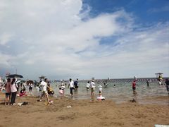 -碧海金沙