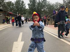 -大连森林动物园