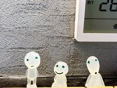 -帝京日语(春熙路旗舰校区)