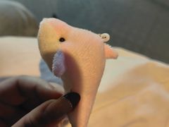 -大连圣亚海洋世界