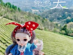 -敬亭山风景名胜区