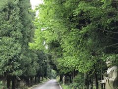 -武陵山森林公园