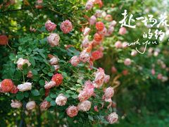 -太阳宫公园