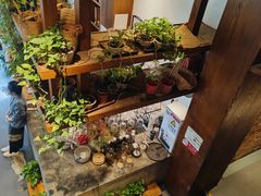 -山茶云南菜(永安里店)