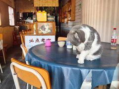 -猫咪博物馆(顶澳仔猫街店)