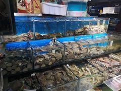 -岳各庄批发市场(西四环中路店)