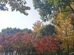 -后襄河公园