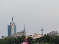 -莲花池公园