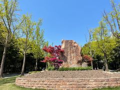 -苏州河梦清园环保主题公园