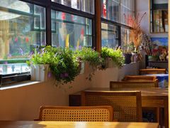 -三忘湖 SWANSEEN(柳荫公园店)