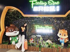 -三只松鼠(北美N1店)