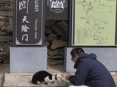 -雁门关景区