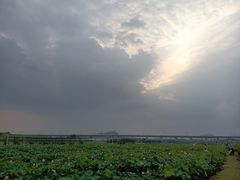 -光明小镇欢乐田园