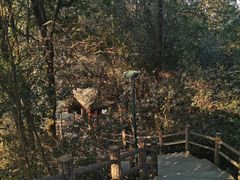 -红花湖景区