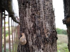 -北戴河圣蓝海洋公园