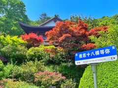 -十八棵（老龙井）御茶园(老龙井店)