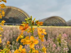 -中国天府农业博览园