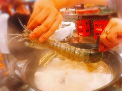 -鲜入围煮花胶鸡海鲜火锅