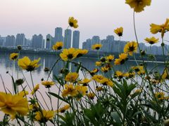 -艾溪湖湿地公园