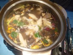 -千岛蚝高压锅生蚝·人参火锅(白云万达店)