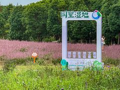 -同里国家湿地公园