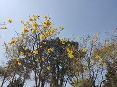 -中国移动南方基地