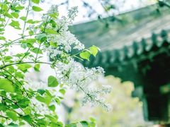 -碑林公园