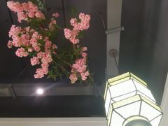 -丈母娘的饭局•新金陵菜(牛首山店)