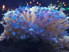 -乐享养生(东湖店)