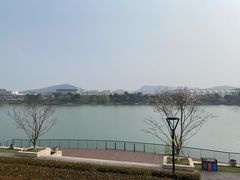 -羊山湖公园