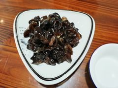 凉拌木耳-呼吸森林·生态农庄农家乐私房菜