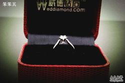 _DSC1694_副本-威德钻石-克拉钻大本营(南京东路店)