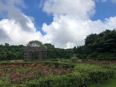 -济州森林小火车生态公园