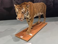 -国家自然博物馆