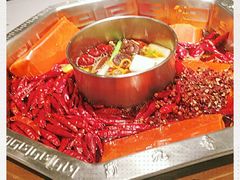 -蜀九香火锅(九眼桥店)