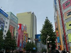 -秋叶原电器街