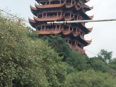 -武汉五月花大酒店(武昌火车站中南路地铁站店)